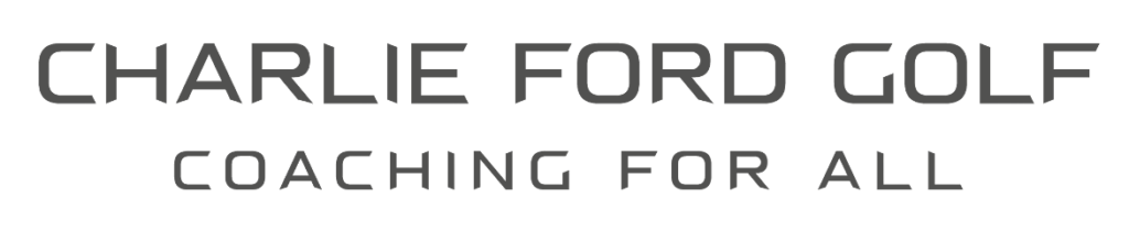 charlie ford grey cropped